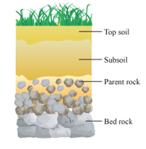 Solution-Class 6th-General Science-Chapter-1-Natural Resources Air ...