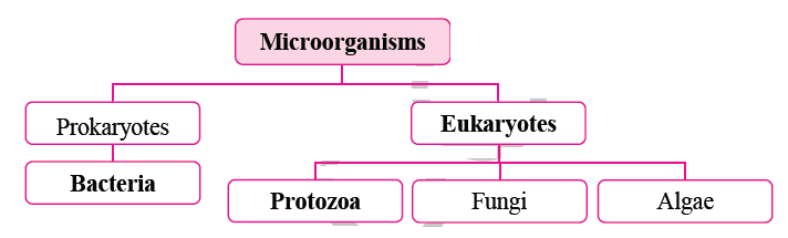 notes-class-8-science-chapter-1-living-world-and-classification-of