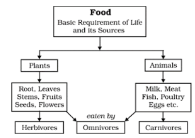 ncert obtained cereals grains pulses vegetables