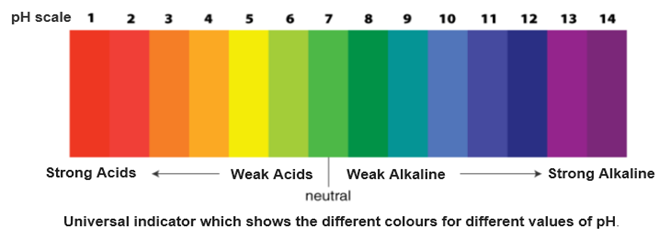 Acids-Bases and Salts For Class-10 Chemistry-MCQ by cbseinsights.com