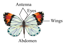 Solutions-Class 10-Science & Technology-2-Chapter-6-Animal ...