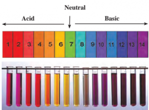 Notes-Class 9-Science-Chapter-5-Acids, Bases and Salts-Maharashtra Board