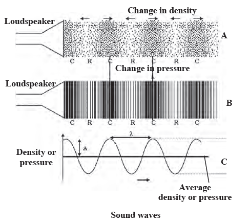 Notes Class 9 Science Chapter 12 Study Of Sound Maharashtra Board