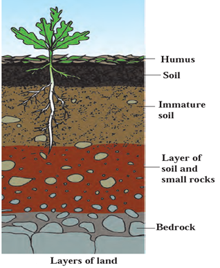 Notes-Class 6th-General Science-Chapter-1-Natural Resources Air Water ...